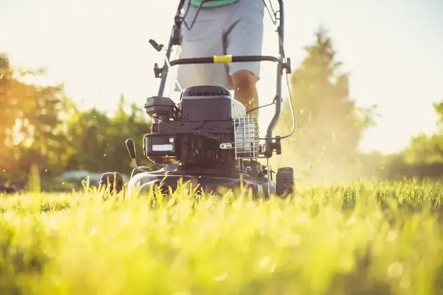 Affordable Grass Cutting Forked River, NJ