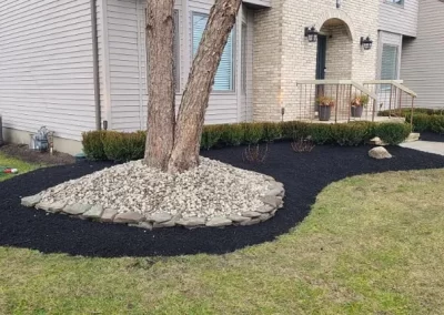 Excellent Landscape Installation