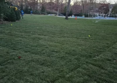 Exceptional Lawn Care