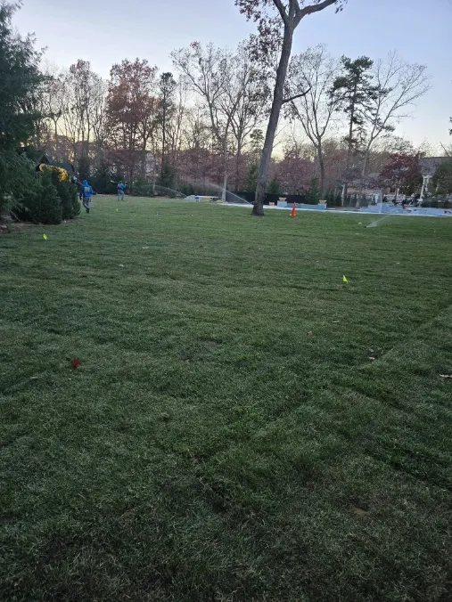 Exceptional Lawn Care