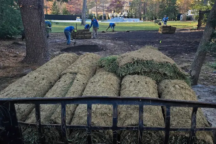 Felix Landscaping LLC's Other Services