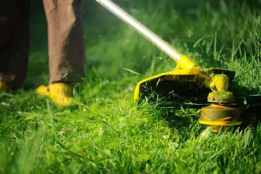 Grass Cutting And Lawn Care For Year-round Beauty Forked River, NJ