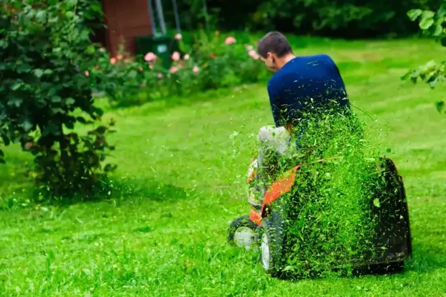 Grass Cutting And Lawn Care For Year-round Beauty in Forked River, NJ