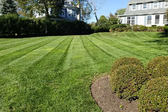 Grass Cutting