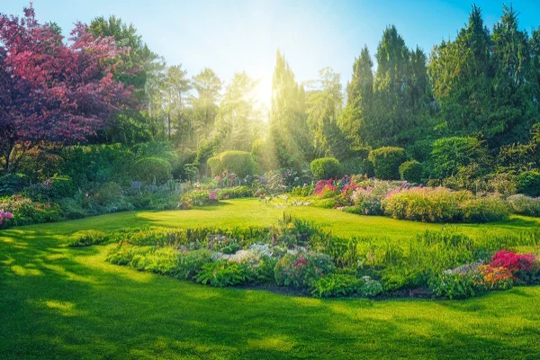 How Landscape Installation Improves Property Drainage Forked River, NJ