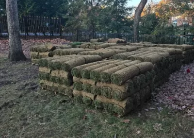 Landscape Installation (5)