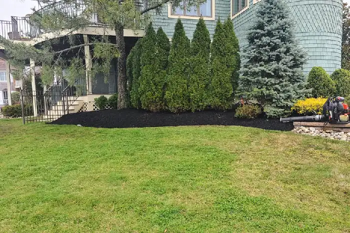 Landscape Installation