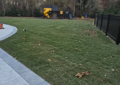 Lawn Care (2)