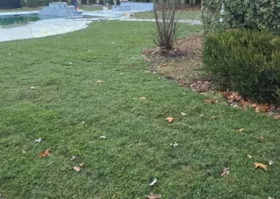 Lawn Care (3)
