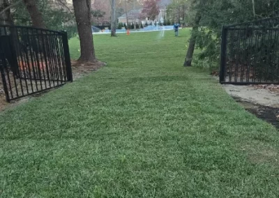 Lawn Care (4)