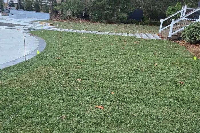 Lawn Care