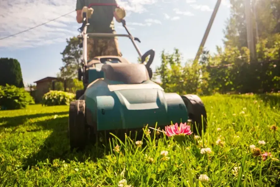 Quality Grass Cutting Forked River, NJ