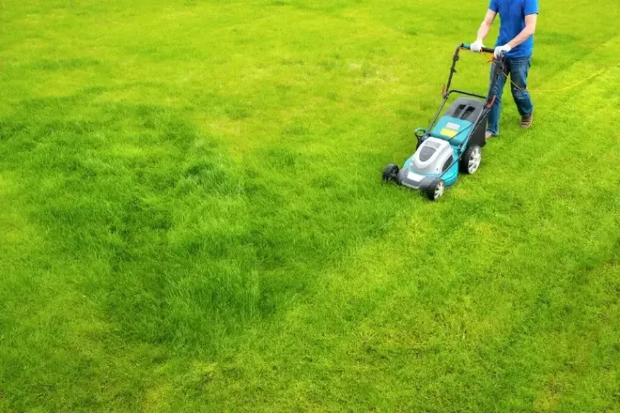 The Impact Of Proper Grass Cutting On Lawn Irrigation in Forked River, NJ